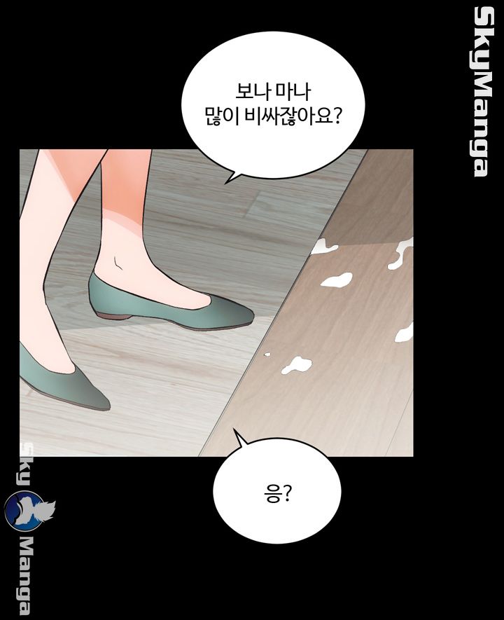 Authorized Agency Raw - Chapter 3 Page 54