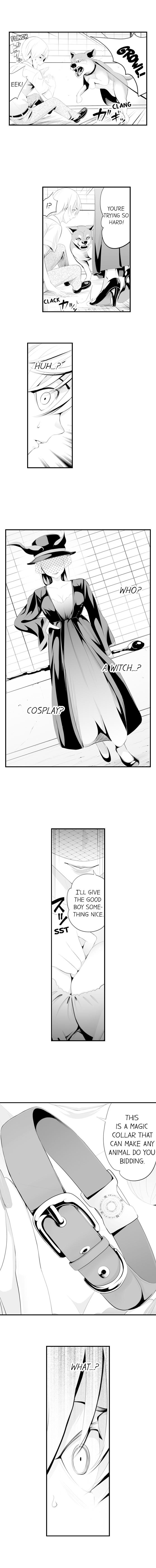 The Collar of Submission - Chapter 1 Page 4