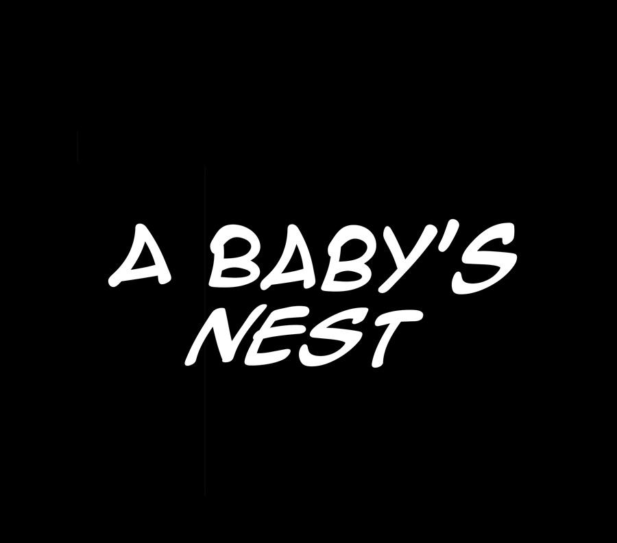 A Baby'S Nest - Chapter 12 Page 3