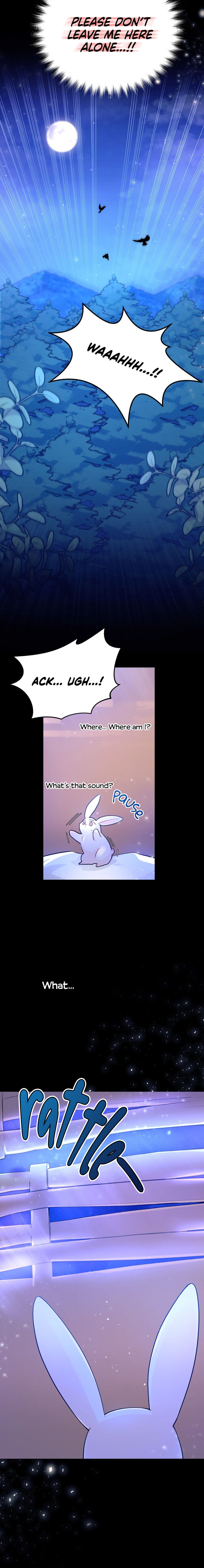 The Symbiotic Relationship Between A Rabbit and A Black Panther - Chapter 1 Page 10