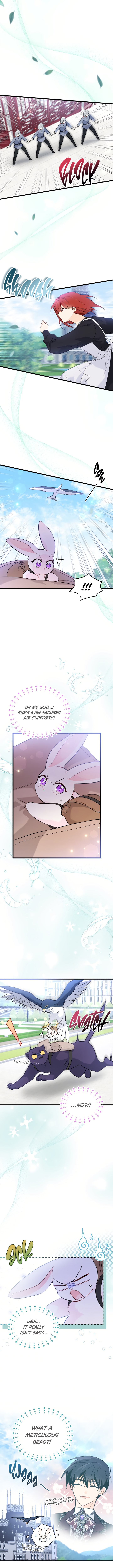 The Symbiotic Relationship Between A Rabbit and A Black Panther - Chapter 60 Page 7