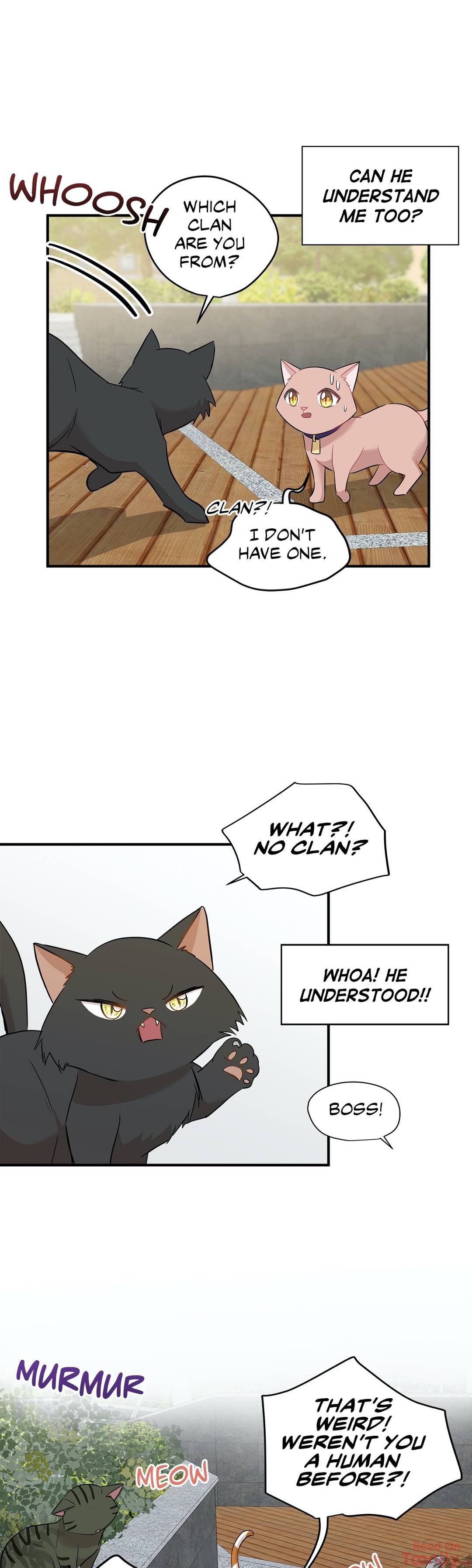 Just for a Meowment - Chapter 21 Page 9
