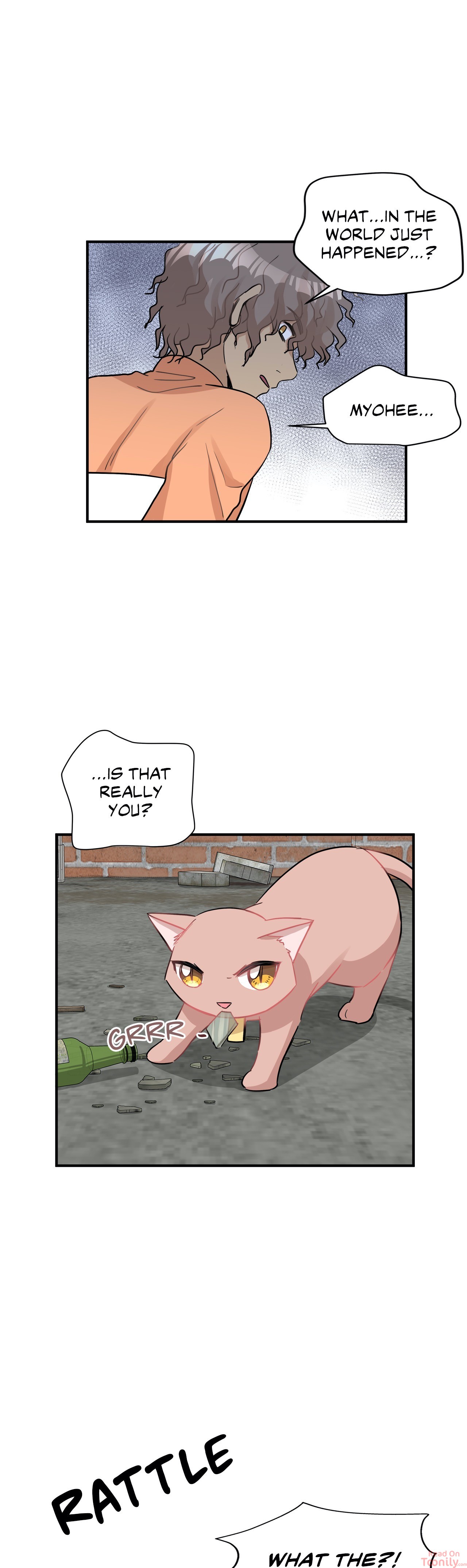 Just for a Meowment - Chapter 26 Page 14