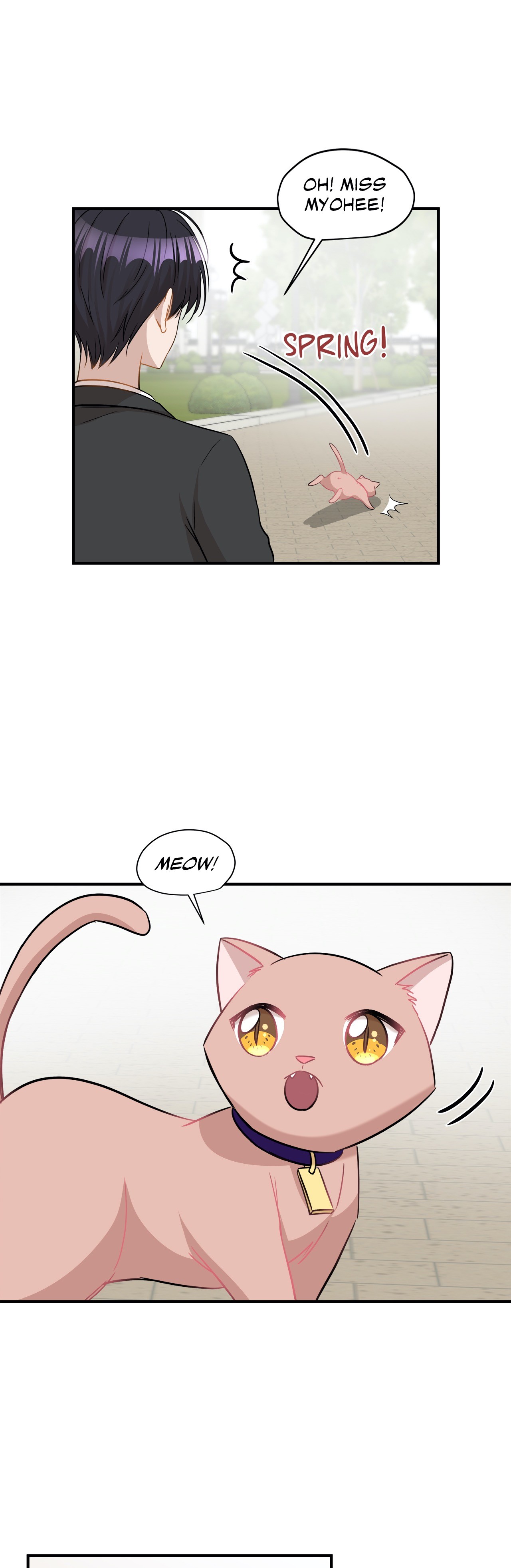 Just for a Meowment - Chapter 30 Page 40