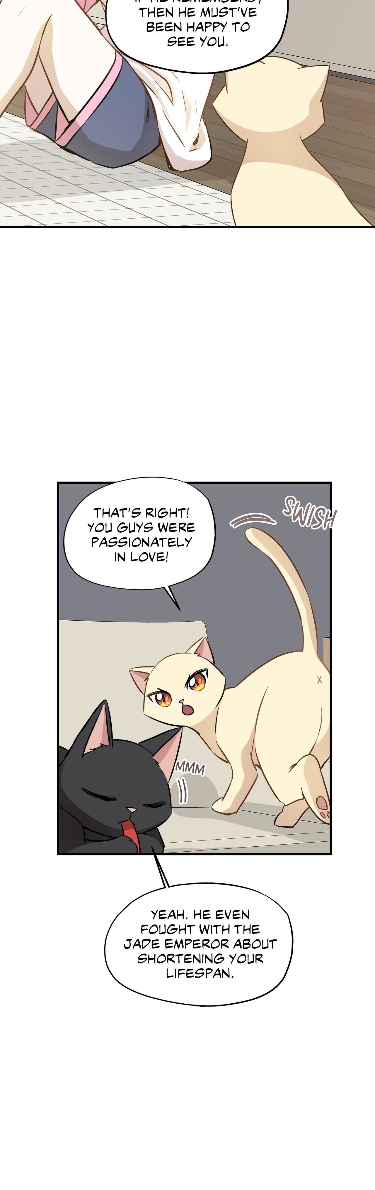 Just for a Meowment - Chapter 58 Page 13